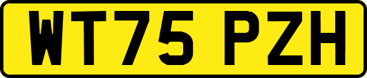 WT75PZH