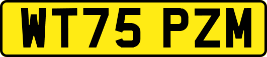 WT75PZM