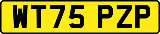 WT75PZP