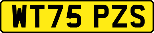 WT75PZS