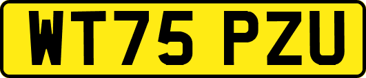 WT75PZU
