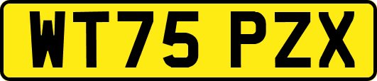 WT75PZX