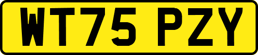 WT75PZY