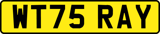 WT75RAY