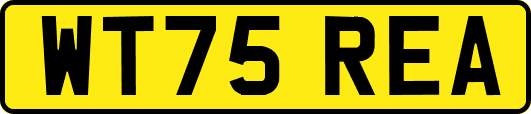 WT75REA