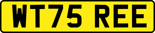 WT75REE