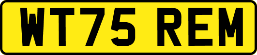 WT75REM