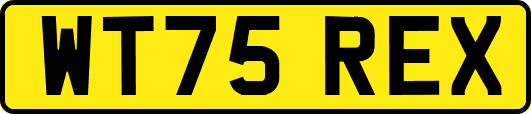 WT75REX
