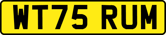 WT75RUM