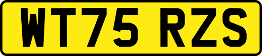 WT75RZS
