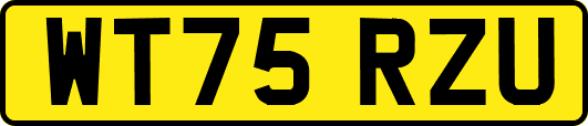 WT75RZU