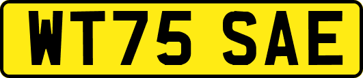 WT75SAE