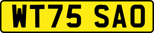 WT75SAO