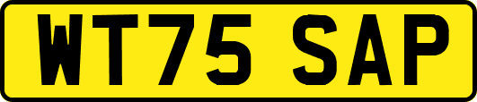 WT75SAP