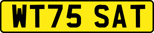 WT75SAT