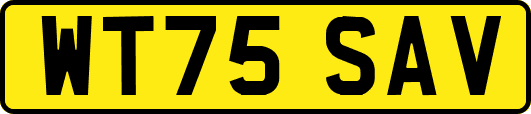WT75SAV