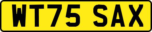 WT75SAX
