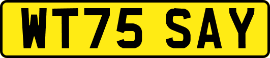 WT75SAY