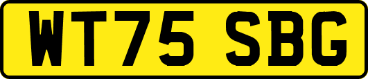 WT75SBG