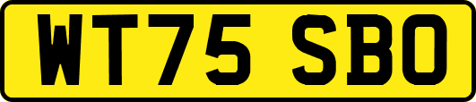 WT75SBO