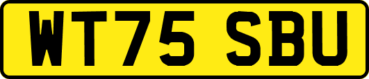 WT75SBU