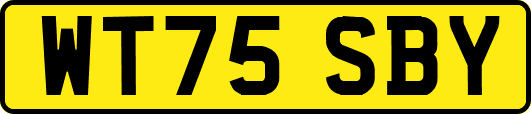 WT75SBY