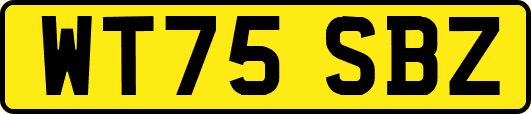 WT75SBZ