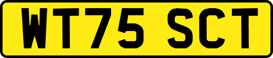 WT75SCT