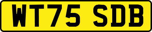 WT75SDB