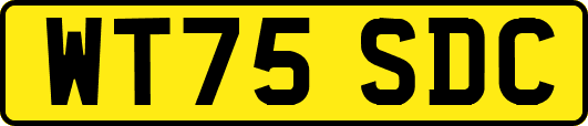 WT75SDC