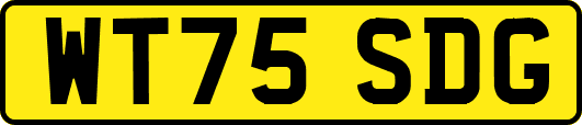 WT75SDG