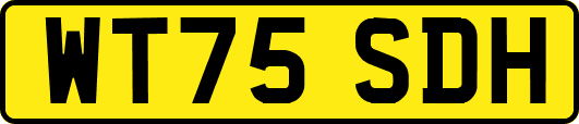 WT75SDH