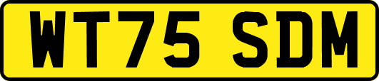 WT75SDM