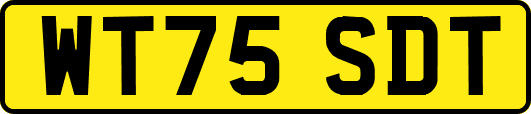 WT75SDT