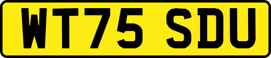 WT75SDU