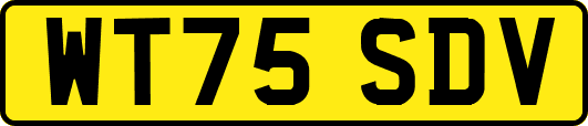 WT75SDV