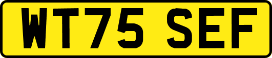 WT75SEF