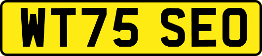 WT75SEO