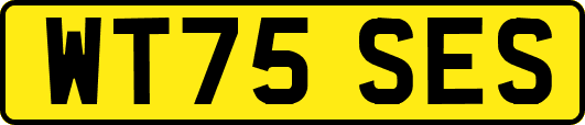 WT75SES