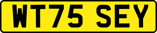 WT75SEY