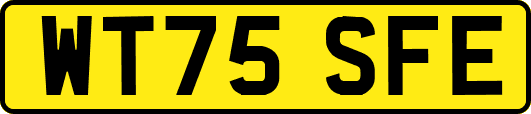 WT75SFE
