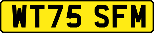 WT75SFM