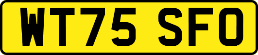 WT75SFO