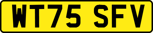 WT75SFV