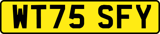 WT75SFY