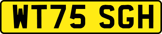 WT75SGH