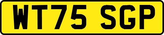 WT75SGP