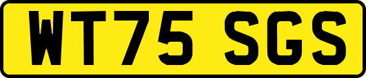 WT75SGS