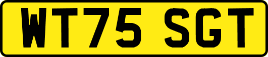 WT75SGT