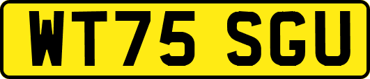 WT75SGU
